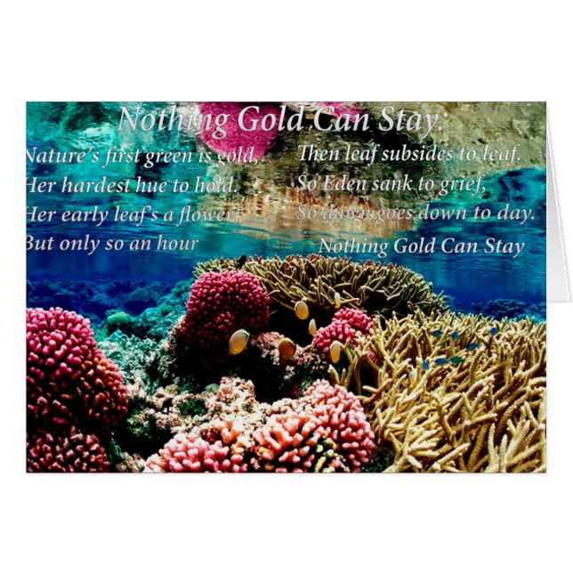 Unter Wasser Koralle und zwei Clownfische (Vorderseite (Horizontal))