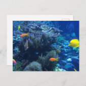 Unter Wasser Welt und Sommergeschichte Postkarte (Vorne/Hinten)