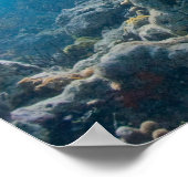 Unter WasserBiskaya NP Poster (Ecke)
