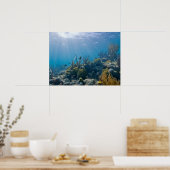 Unter WasserBiskaya NP Poster (Küche)