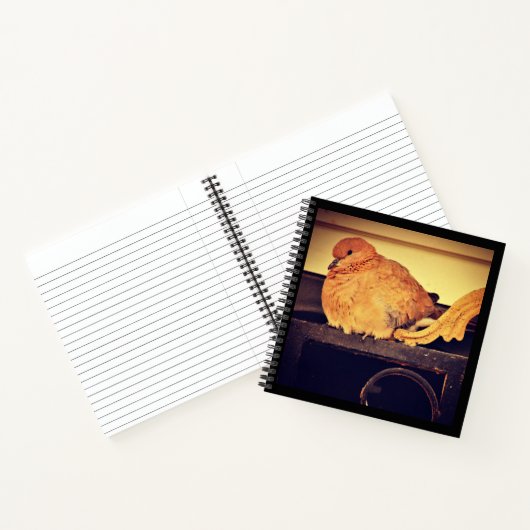 Unterbrechung Notizblock (Innenseite)