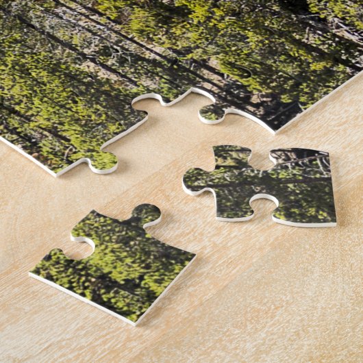 Untere Fälle des Yellowstone Puzzle (Seite)