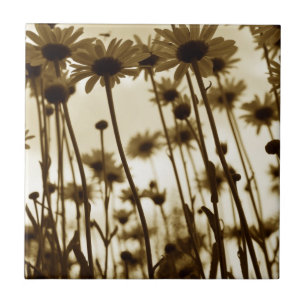 Untere Gänse Fliese