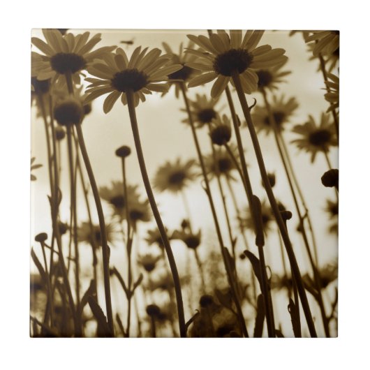 Untere Gänse Fliese (Vorderseite)