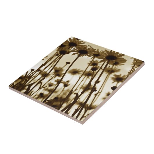 Untere Gänse Fliese (Seite)