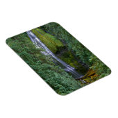 Untere Proxyfälle | Willamette National Forest Magnet (Rechte Seite)