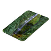 Untere Proxyfälle | Willamette National Forest Magnet (Linke Seite)