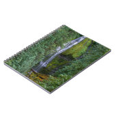 Untere Proxyfälle | Willamette National Forest Notizblock (Linke Seite)