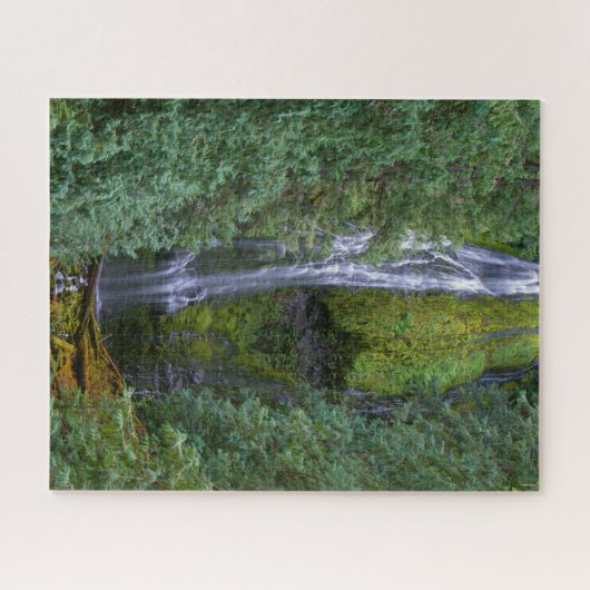 Untere Proxyfälle | Willamette National Forest Puzzle (Horizontal)