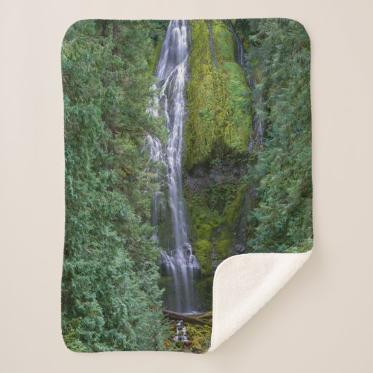 Untere Proxyfälle | Willamette National Forest Sherpadecke (Vorderseite)