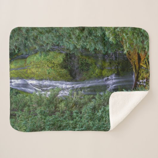 Untere Proxyfälle | Willamette National Forest Sherpadecke (Vorderseite (Horizontal))