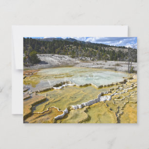 Untere Terrasse Minerva, Yellowstone Nationalpark Postkarte