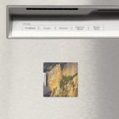 Untere Wasserfälle im Grand Canyon Magnet (In Situ (Geschirrspüler))