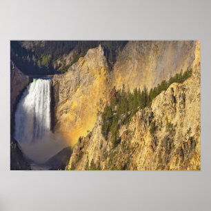 Untere Wasserfälle im Grand Canyon Poster