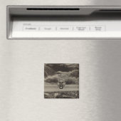 Untere Wasserfälle, Spokane Magnet (In Situ (Geschirrspüler))