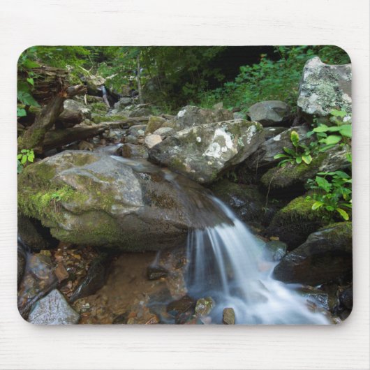 Unterer Dunkler Hollow Falls, Shenandoah Mousepad (Vorne)
