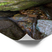 Unterer Dunkler Hollow Falls, Shenandoah Poster (Ecke)