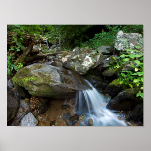 Unterer Dunkler Hollow Falls, Shenandoah Poster