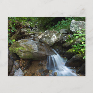Unterer Dunkler Hollow Falls, Shenandoah Postkarte