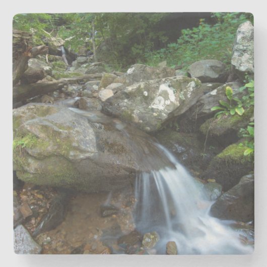 Unterer Dunkler Hollow Falls, Shenandoah Steinuntersetzer (Vorderseite)