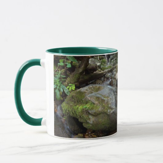 Unterer Dunkler Hollow Falls, Shenandoah Tasse (Links)