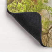 Unterer Emerald Pool Wasserfall Roter Felsen und B Mousepad (Ecke)