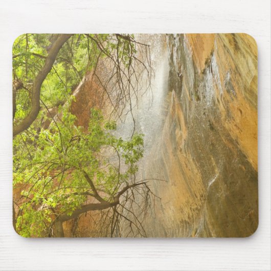 Unterer Emerald Pool Wasserfall Roter Felsen und B Mousepad (Vorne)
