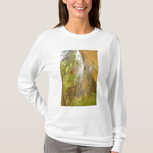 Unterer Emerald Pool Wasserfall Roter Felsen und B T-Shirt (Vorderseite)