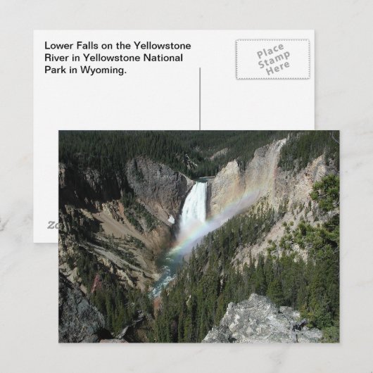 Unterer Fall Yellowstone Postkarte (Vorne/Hinten)