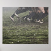 Unterer Rugby-Spieler-Bereich im Rumpf Poster (Vorne)