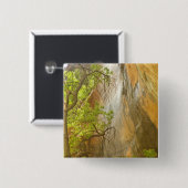 Unterer Smaragdpool Wasserfall Rote Felsen und Bau Button (Vorne & Hinten)