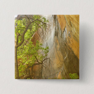 Unterer Smaragdpool Wasserfall Rote Felsen und Bau Button