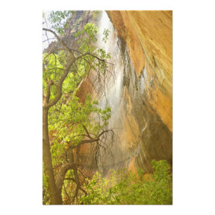 Unterer Smaragdpool Wasserfall Rote Felsen und Bau Fotodruck