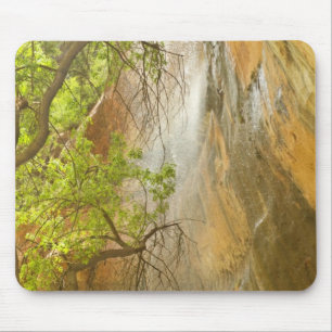 Unterer Smaragdpool Wasserfall Rote Felsen und Bau Mousepad