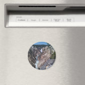 Unterfälle Magnet (In Situ (Geschirrspüler))