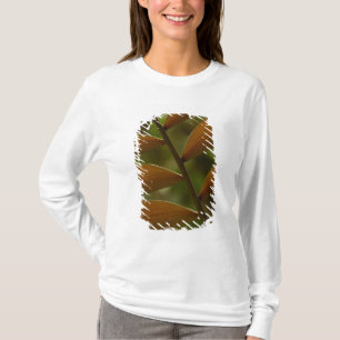 Untergeschossiges Palmendetails. Mindo Cloud Fores T-Shirt