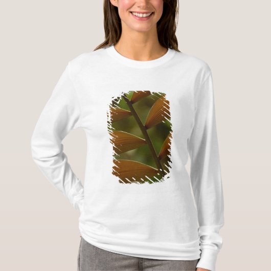 Untergeschossiges Palmendetails. Mindo Cloud Fores T-Shirt (Vorderseite)