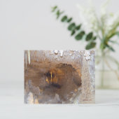 Untergrund Beauty Postkarte (Stehend Vorderseite)