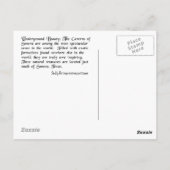 Untergrund Beauty Postkarte (Rückseite)