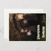 Untergrund-Gewölbe in Edinburgh, Postkarte in Scho (Vorne/Hinten)