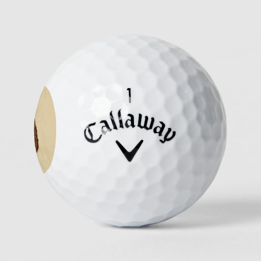 Untergrund Railroad Abolitionist Harriet Tubman Golfball (Logo)