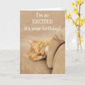 Unterhalb der Geburtstagskarte der Katze Karte (Gelbe Blume)