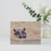 Unterhalb der Hippo-Postkarte Postkarte (Stehend Vorderseite)