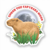 Unterhalb des Capybara Moon Funny Capybara Aufkleber (Vorderseite)
