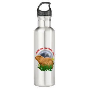 Unterhalb des Capybara Moon Funny Capybara Edelstahlflasche