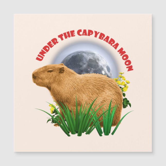 Unterhalb des Capybara Moon Funny Capybara Magnetkarte (Vorderseite)