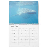 Unterhalb des Meeres Australiens Meerestiere Kalender (Mär 2027)