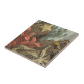 Unterhalb des Meeres Fliese (Seite)