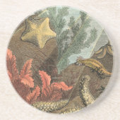 Unterhalb des Meeres Getränkeuntersetzer (Vorne)