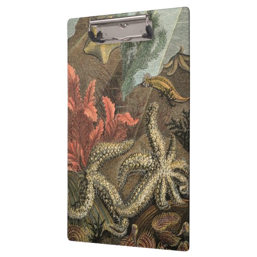 Unterhalb des Meeres Klemmbrett (Links)